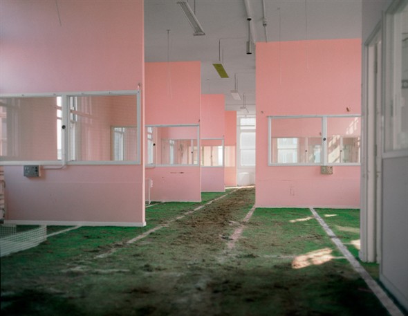 Photo: Illustrative image for the 'Chris Dorley-Brown's archive' page