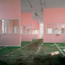 Photo: Illustrative image for the 'Chris Dorley-Brown's archive' page